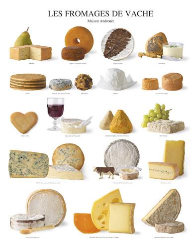 Cow Cheese Poster - AllPosters.co.uk