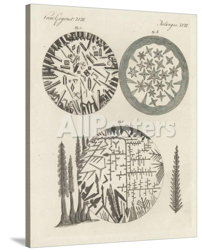 crystals of silver solution and diana s tree camphor and niter