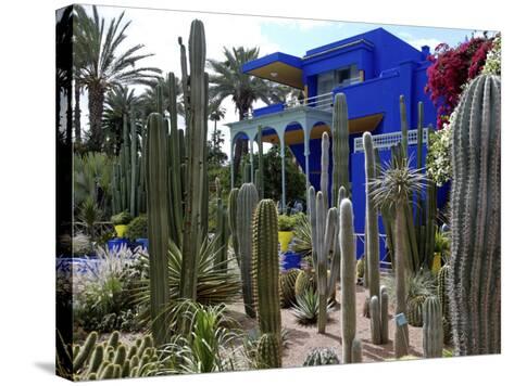 cacti in the majorelle garden restored by the couturier yves saint laurent marrakesh morocco - Majorelle Garden cacti in the majorelle garden restored by the couturier yves saint laurent marrakesh morocco - Majorelle Garden
