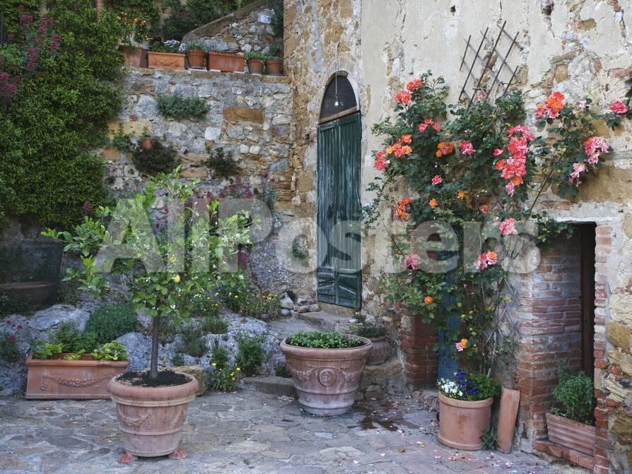 Potted Plants Decorate A Patio In Tuscany Petroio Italy