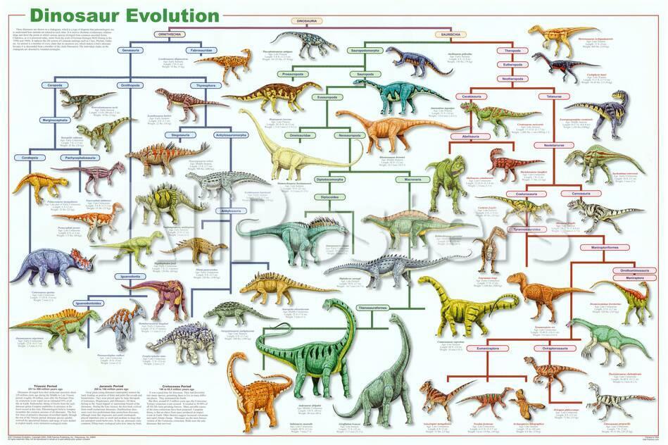 Dinosaur Evolution Educational Science Chart Poster At Dinosaur Evolution Educational Science Chart Poster At Allposters