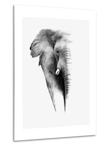 Artistic black and white elephant Artistic black and white elephant