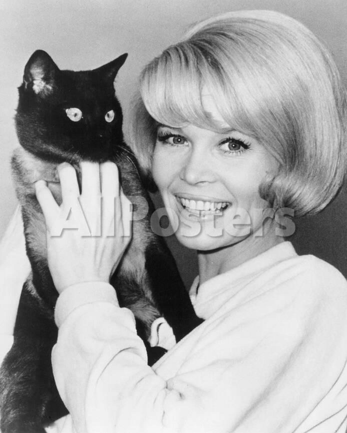 オールポスターズの dorothy provine 写真