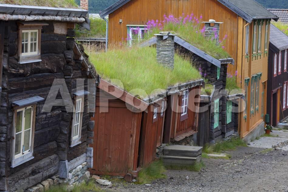 The Old Mining Town of Roros, Sor-Trondelag County, Gauldal District,  Norway, Scandinavia, Europe' Photographic Print - Doug Pearson |  AllPosters.com