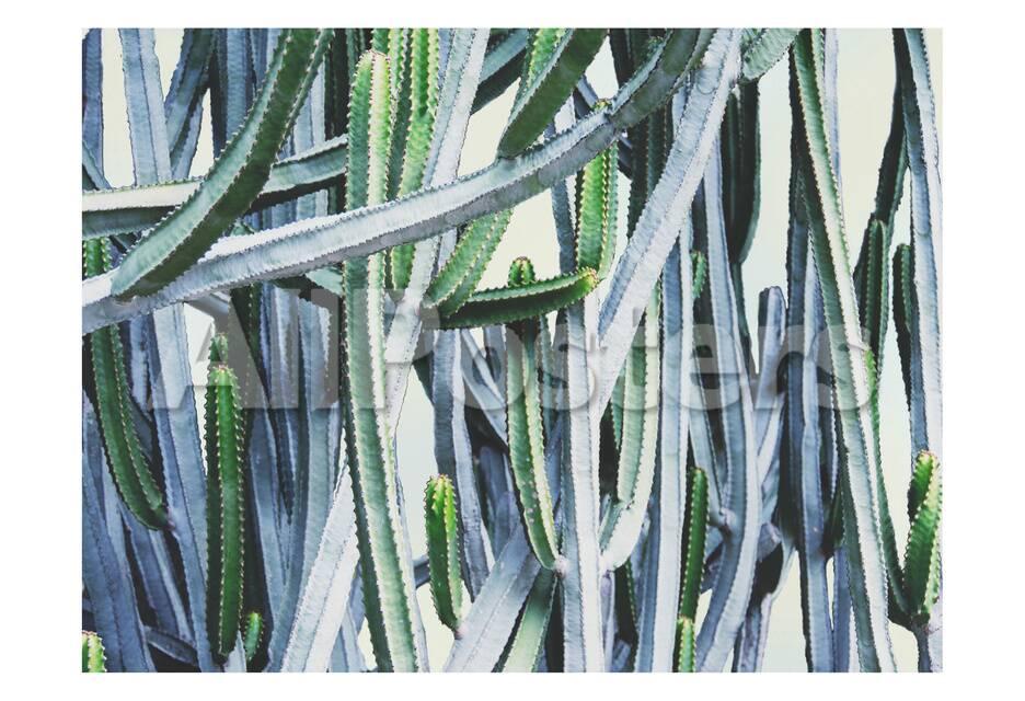 Green Crush I Prints Elizabeth Urquhart Allposters Com