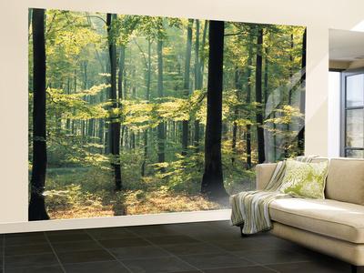 Enchanted Forest Huge Wall Mural Poster Print Wall Mural ...