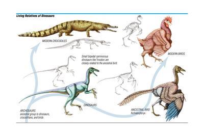 types of dinosaurs types of dinosaurs