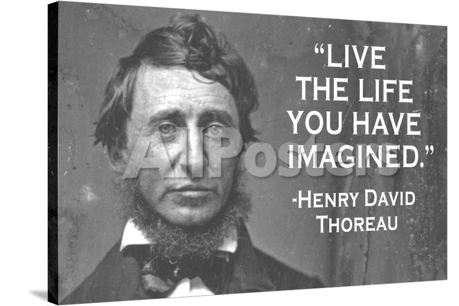 Paradoxes in where i lived, and what i lived for image