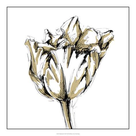 tulip sketch i giclee print by ethan harper at allposters com au