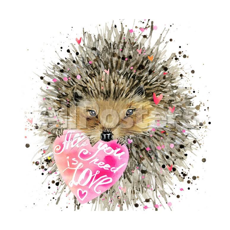 watercolor hedgehog hedgehog illustration with valentines heart