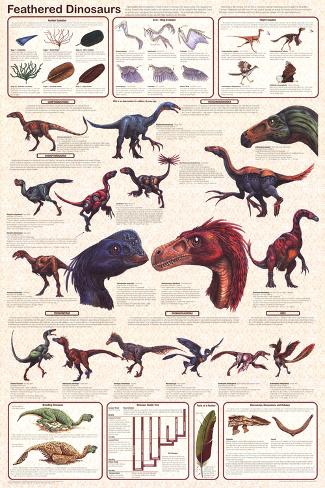 Dinosaur Chart Poster