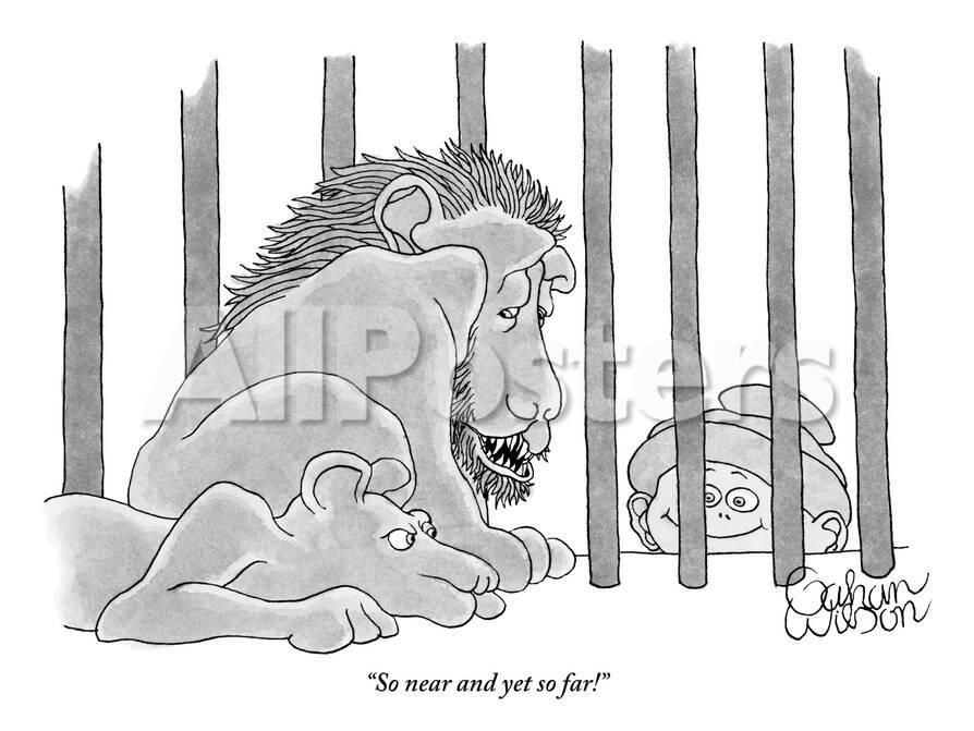 So Near And Yet So Far New Yorker Cartoon Premium Giclee Print Gahan Wilson Allposters Com So Near And Yet So Far New Yorker Cartoon Premium Giclee Print Gahan Wilson Allposters Com