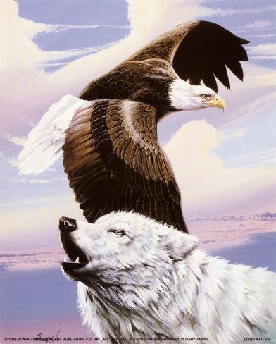 Resultat d'imatges de aguila volando