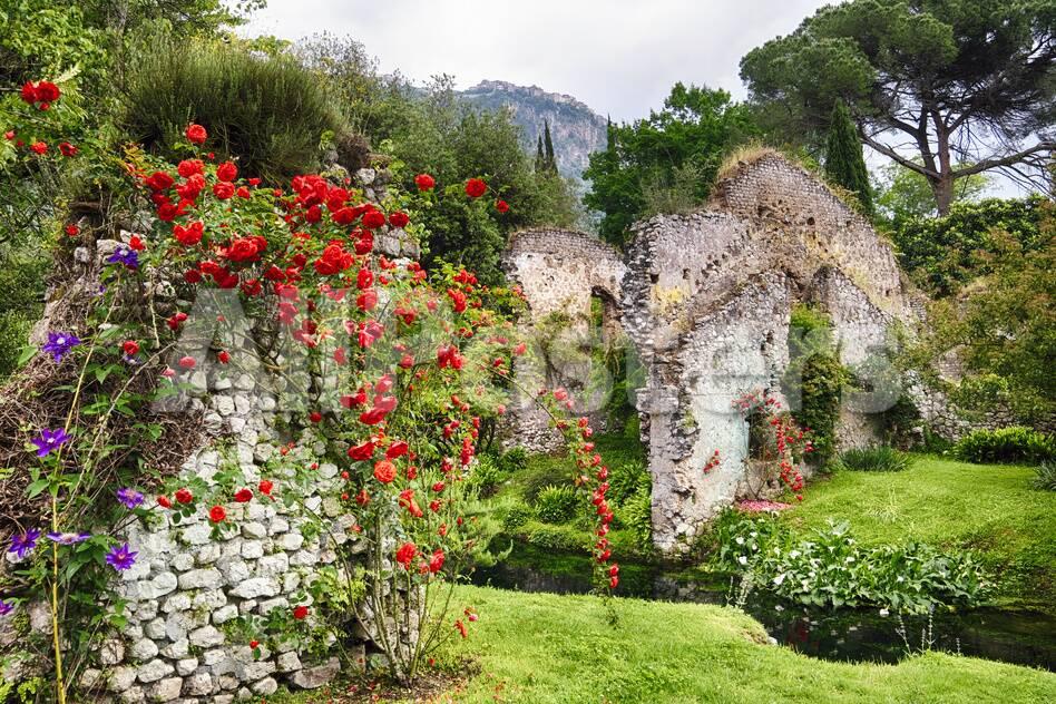 The Garden George-oze-ruins-and-blooming-flowers_a-G-15858799-14258383
