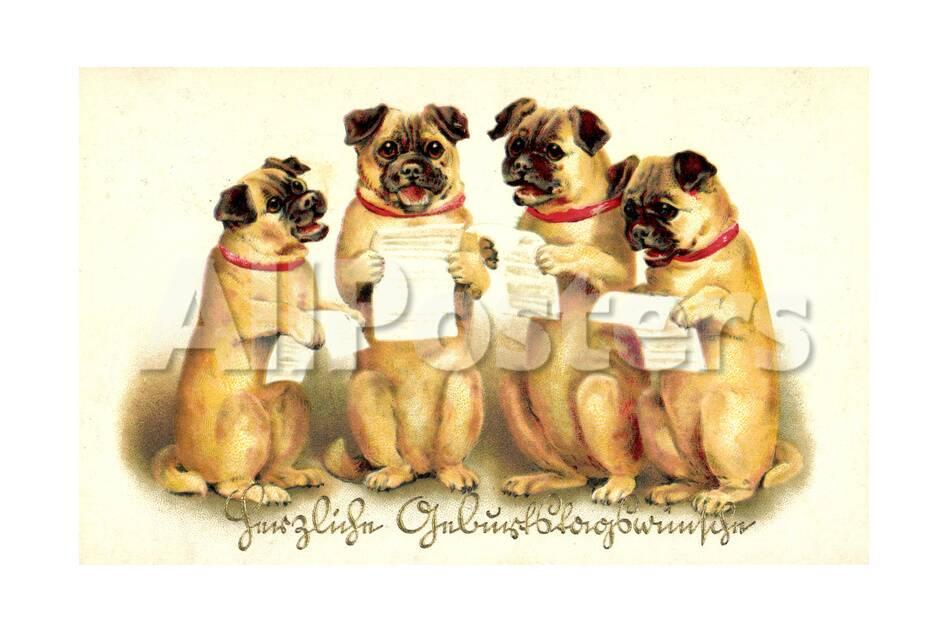 Gluckwunsch Geburtstag Vier Singende Hunde Giclee Print Allposters Com