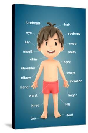 3D Render of a Boy Showing Parts of the Body Prints by Gouraud Studio