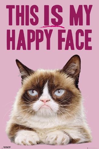grumpy cat happy face