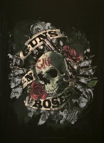 Guns N Roses Skull Photo At Allposterscom