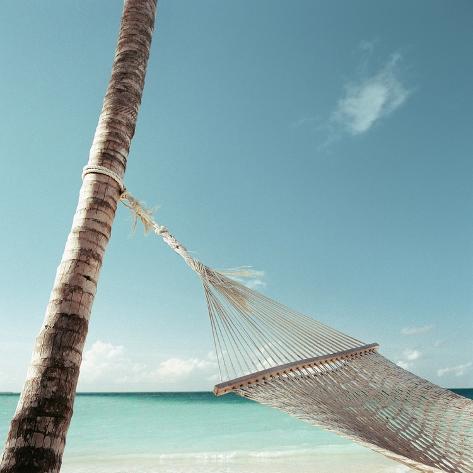 Hammock on Beach Photographic Print - AllPosters.co.uk