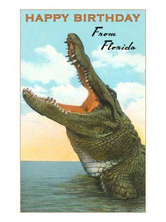 'Happy Birthday from Florida, Alligator' Posters | AllPosters.com