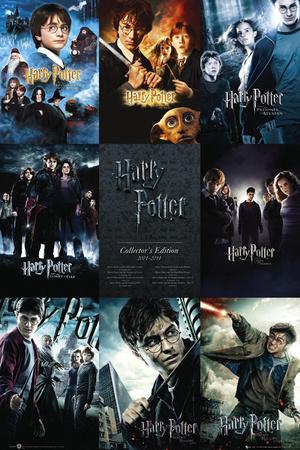 The world of harry potter poster book