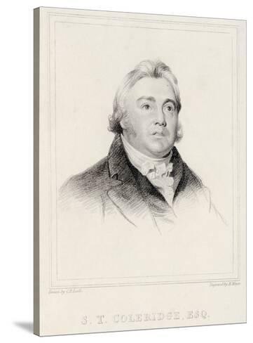 Samuel Taylor Coleridge and the Fine Arts