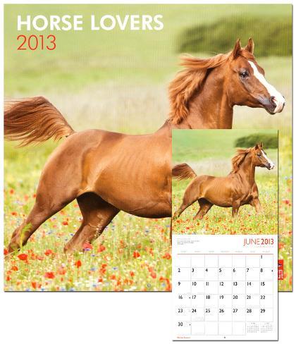 Horse Lovers 2013 Wall Calendar Calendars Allposters Co Uk