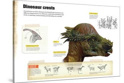 dinosaur with 2 crests on head