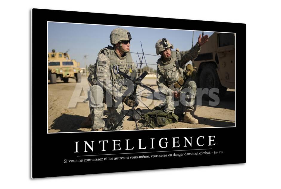 Intelligence Citation Et Affiche D Inspiration Et Motivation Photographic Print Allposters Com Intelligence Citation Et Affiche D Inspiration Et Motivation Photographic Print Allposters Com