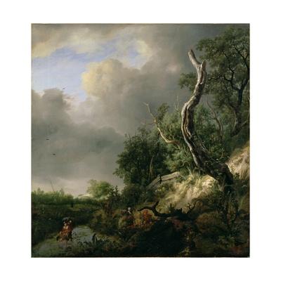 haarlem dunes near