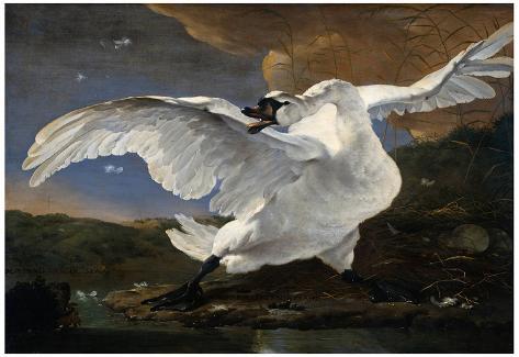 Image result for trumpeter swan train painting
