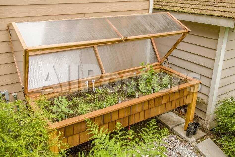 Issaquah Washington State Usa Wood Greenhouse With A Polycarbonate Cover And Grow Lights Photographic Print Janet Horton Allposters Com Issaquah Washington State Usa Wood Greenhouse With A Polycarbonate Cover And Grow Lights Photographic Print Janet Horton Allposters Com