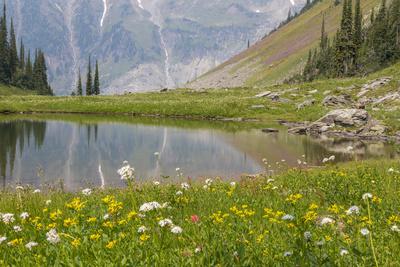 'Canada, British Columbia, Selkirk Mountains. Marmot Lake reflection