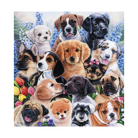 Puppy Collage Giclee Print by Jenny Newland - AllPosters.ca