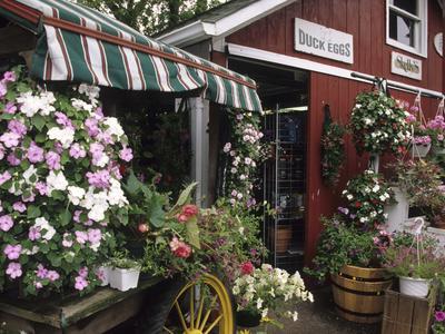 Farm Stand in Red Barn with Flowers, Long Island, New York ...
