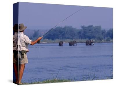 'Lower Zambezi National Park, Fly-Fishing for Tiger Fish on the Zambezi River Against a Backdrop