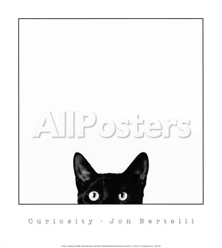 Black and white photography prints by allposters co uk Black and white photography prints by allposters co uk