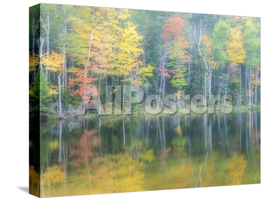 Michigan Upper Peninsula Fall Colors On Thornton Lake Alger Co Photographic Print Julie Eggers Allposters Com