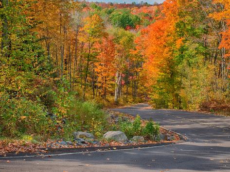 Michigan, Upper Peninsula. Road Through Hardwood Forest in Autumn Photo ...