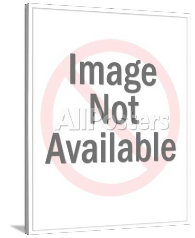Kurt Cobain Photo At Allposters Com