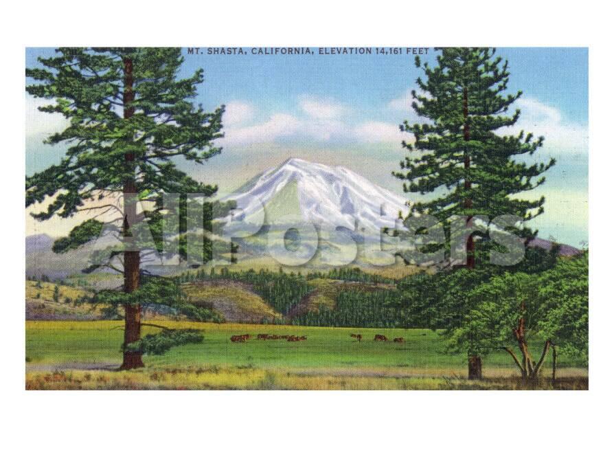 Mount Shasta California View Of The Mountain From A Meadow C