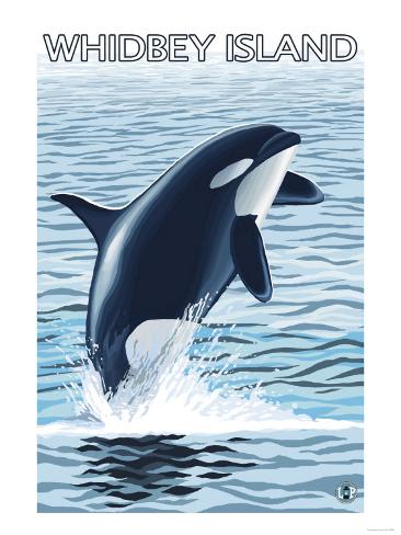 Washington Orca Print