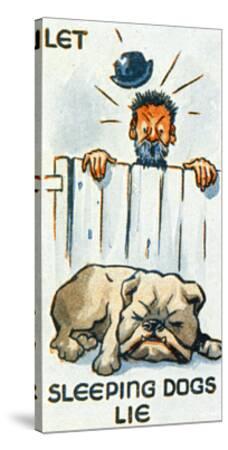 sleep: 32+ Let Sleeping Dogs Lie Artinya Images