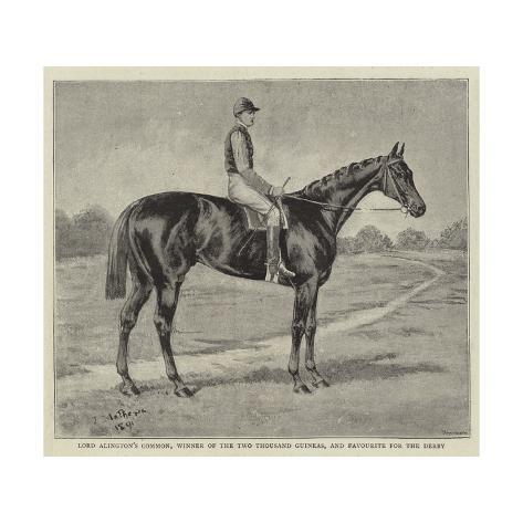 Lord Alington's Common, Winner of the Two Thousand Guineas ...