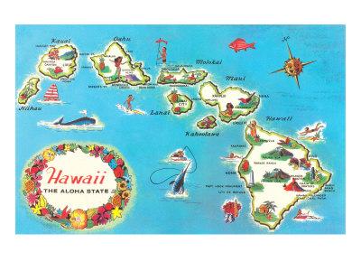 hawaii vectorial map hawaii vectorial map