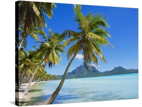 Palm Trees And Beach Bora Tahiti Society Islands French Palm Trees And Beach Bora Tahiti Society Islands French Polynesia Pacific Photographic Print By Mark Mawson At Allposters
