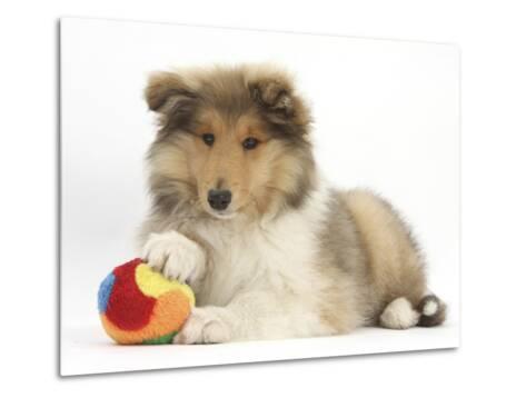 rough collie soft toy