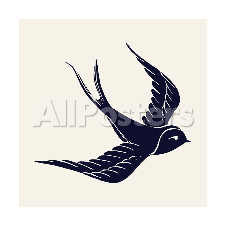 Vector Ink Pen Hand Drawn Flying Swallow Silhouette Illustration With Vintage Feel Flying Swallow Prints Mascha Tace Allposters Com