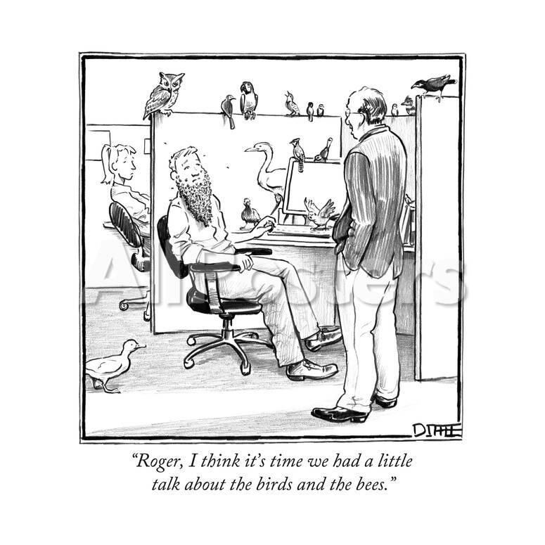 roger i think it s time we had a little talk about the birds and