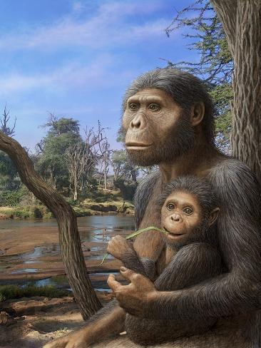 Resultado de imagen de australopithecus